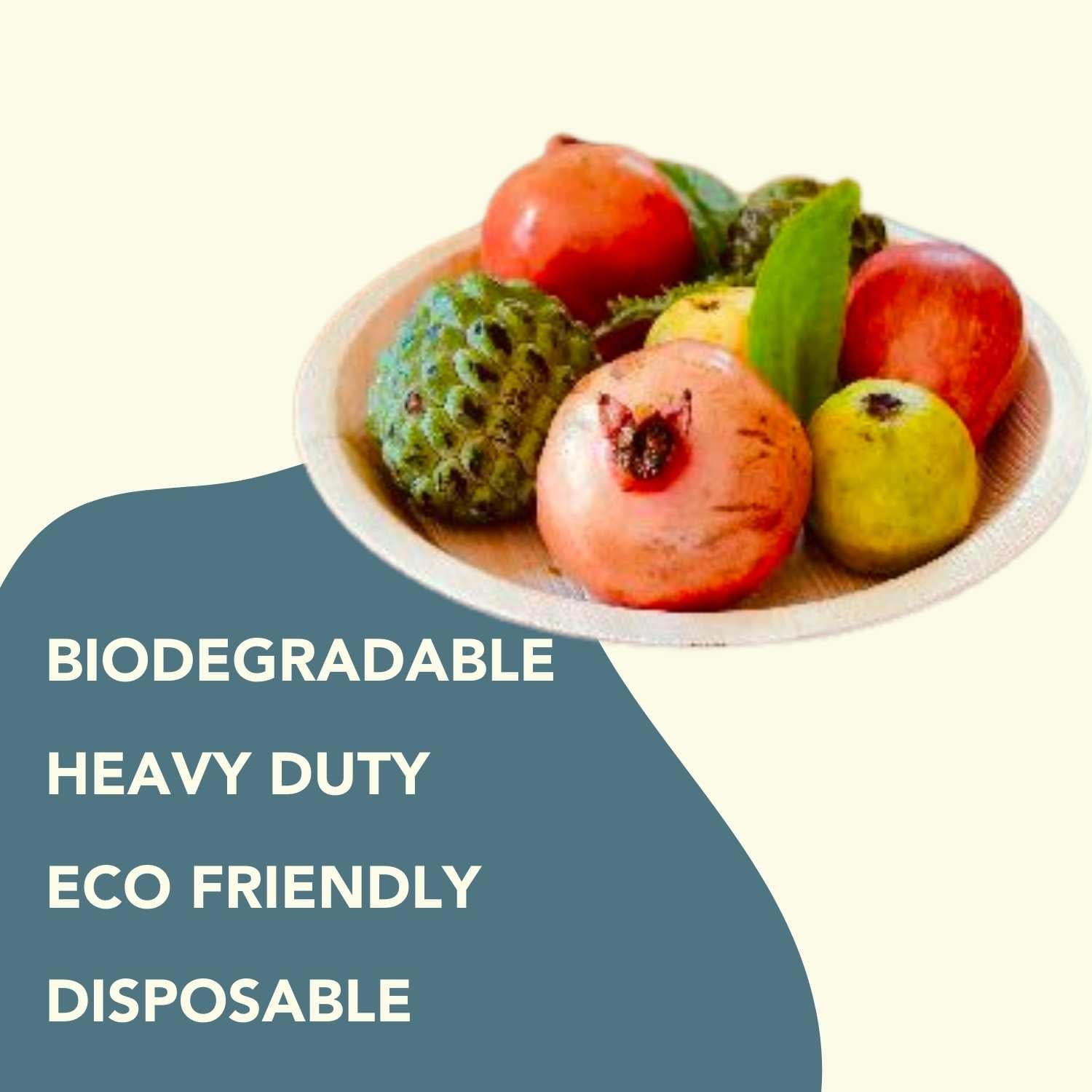 Disposable Areca Plates 8 Inches